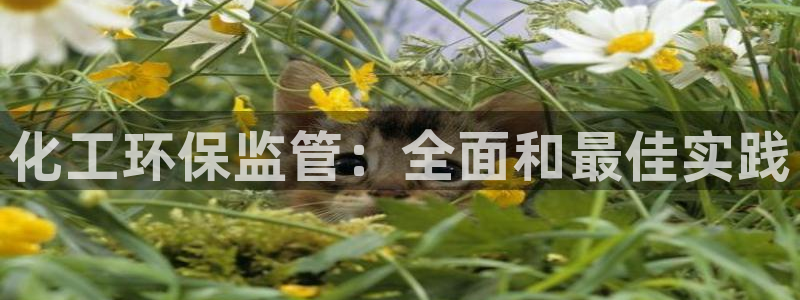 亿万网友在线实时为您解答