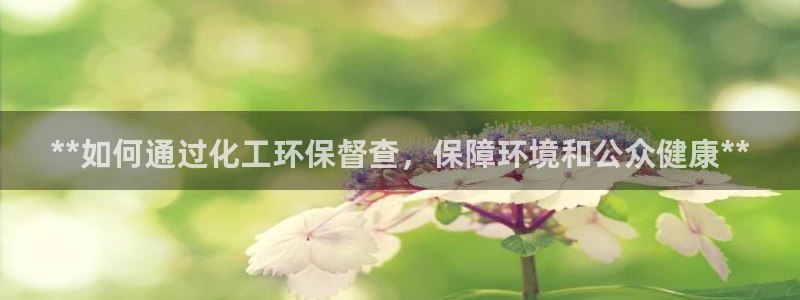 亿万万作者：**如何通过化工环保督查，保障环境和公众健康**
