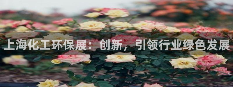 亿万国际app：上海化工环保展：创新，引领行业绿色发展