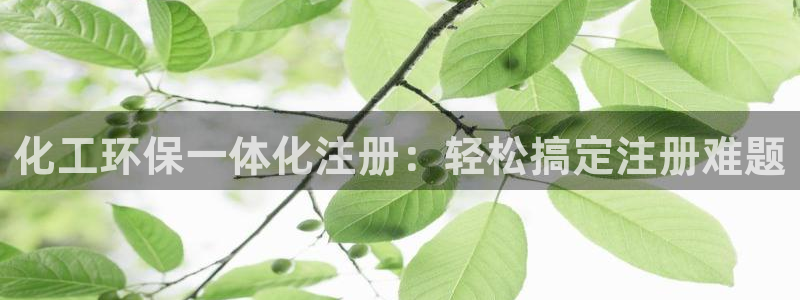亿万手游平台官网：化工环保一体化注册：轻松搞定注册难题