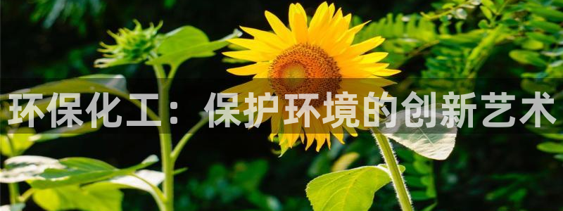 亿万讲了什么：环保化工：保护环境的创新艺术