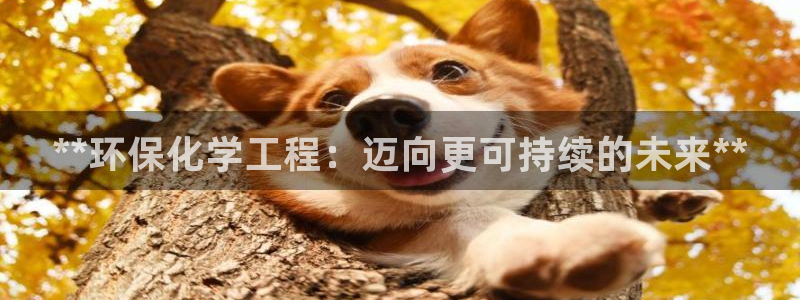 亿万先生mr网址：**环保化学工程：迈向更可持续的未来**