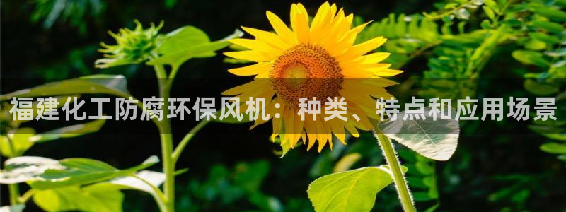 亿万集团有限公司