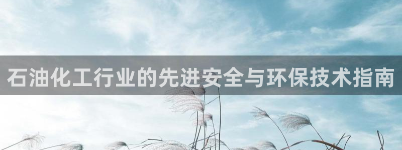 亿万先生手机版客户端下载安装：石油化工行业的先进安全与环保技术指南