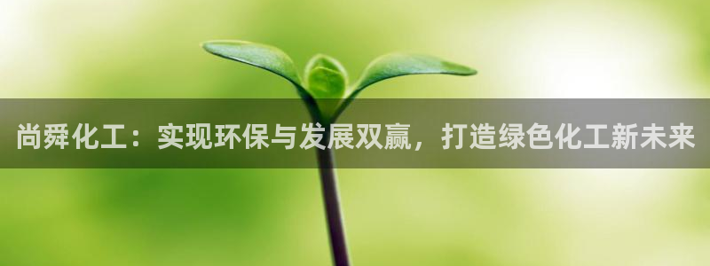 亿万讲什么：尚舜化工：实现环保与发展双赢，打造绿色化工新未来