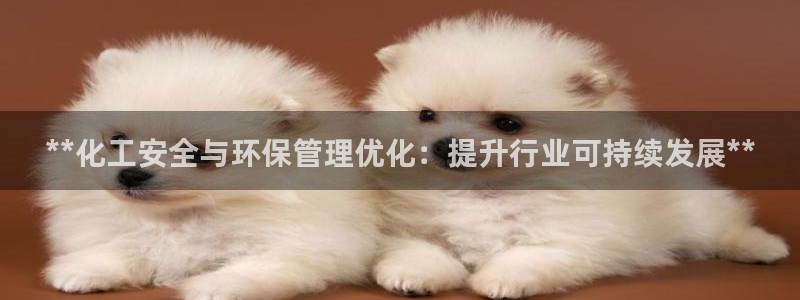 亿万先生mr网址：**化工安全与环保管理优化：提升行业可持续发展**