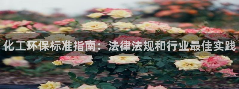 亿万先生是男是女：化工环保标准指南：法律法规和行业最佳实践