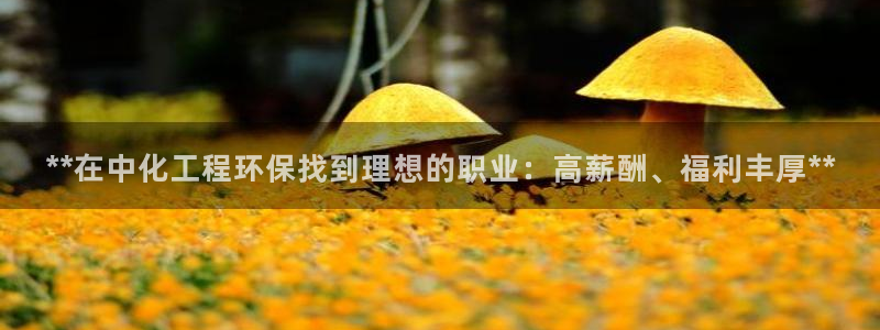 亿万剧集：**在中化工程环保找到理想的职业：高薪酬、福利丰厚**