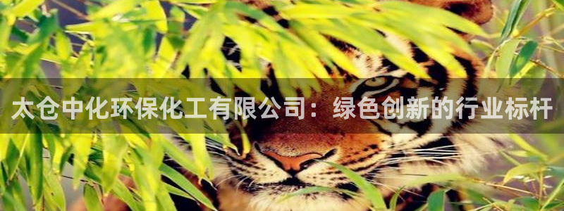 亿万红包版下载正版：太仓中化环保化工有限公司：绿色创新的行业标杆