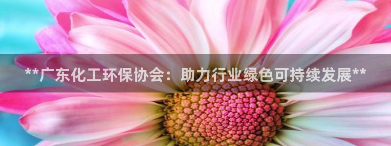 亿万先生手机网：**广东化工环保协会：助力行业绿色可持续发展**