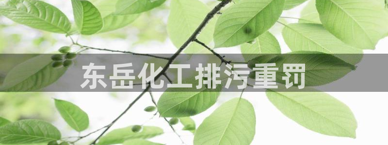 亿万 在线：东岳化工排污重罚