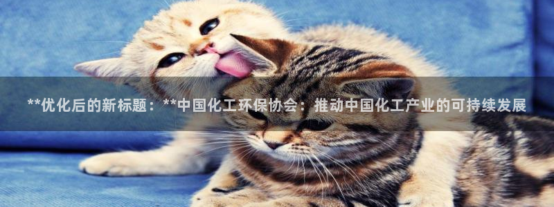 亿万手游官网：**优化后的新标题：**中国化工环保协会：推动中国化工产业的可持续发展