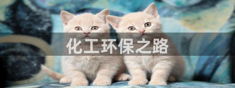 亿万先生手机版：化工环保之路