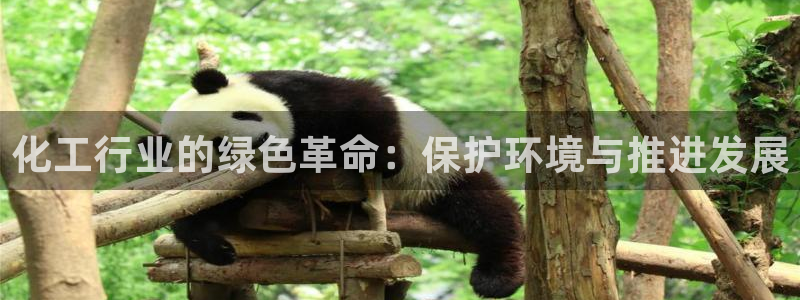 亿万的亿：化工行业的绿色革命：保护环境与推进发展