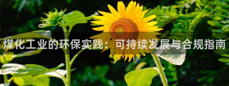 亿万先生客服联系方式查询：煤化工业的环保实践：可持续发展与合规指南
