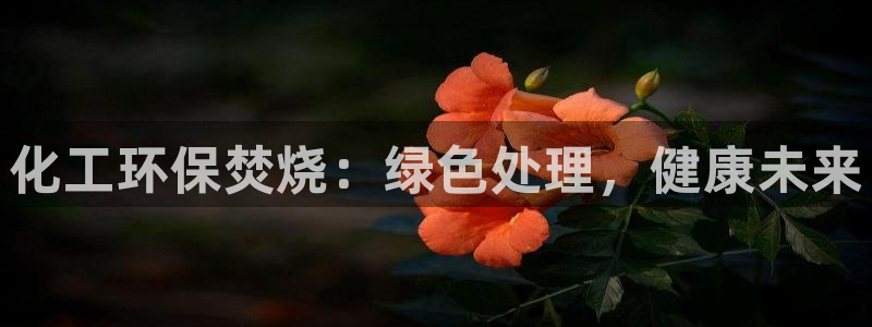 亿万先生游戏平台网址：化工环保焚烧：绿色处理，健康未来