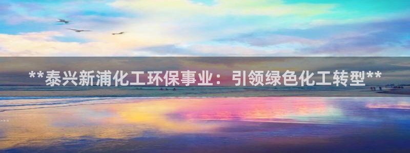 亿万先生下载网址app：**泰兴新浦化工环保事业：引领绿色化工转型**