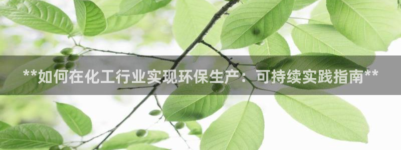 亿万网友在线实时为你解答：**如何在化工行业实现环保生产：可持续实践指南**