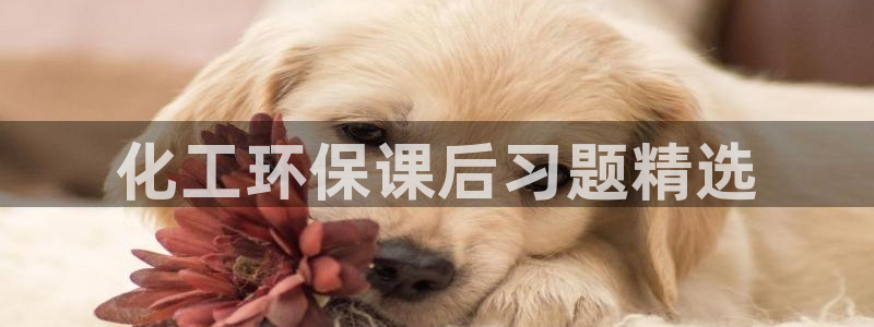 亿万先生 菲律宾：化工环保课后习题精选