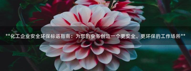 亿万先生网页版登录：**化工企业安全环保标语指南：为您的业务创造一个更安全、更环保的工作场所**