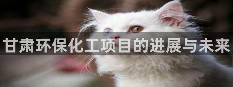 亿万国际app：甘肃环保化工项目的进展与未来