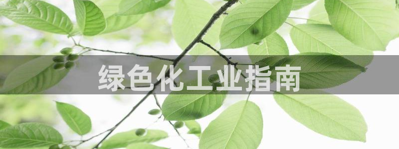 亿万问答：绿色化工业指南