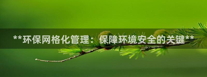 亿万先生m007：**环保网格化管理：保障环境安全的关键**