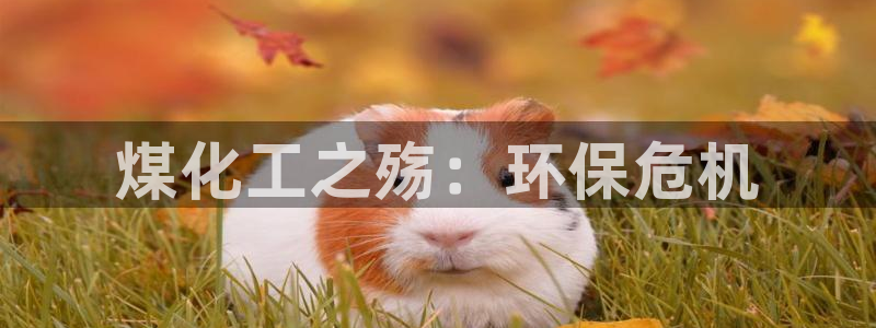亿万先生情侣车有什么用：煤化工之殇：环保危机