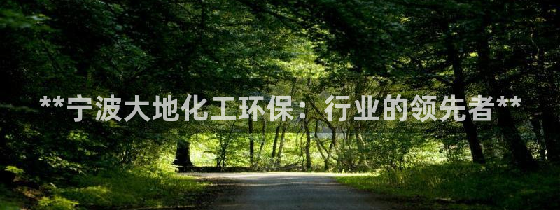 亿万先生官方网站客户端下载安装：**宁波大地化工环保：行业的领先者**