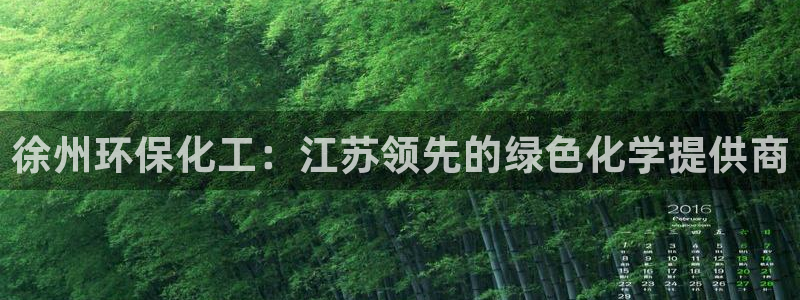 亿万先生客户端官网登录：徐州环保化工：江苏领先的绿色化学提供商