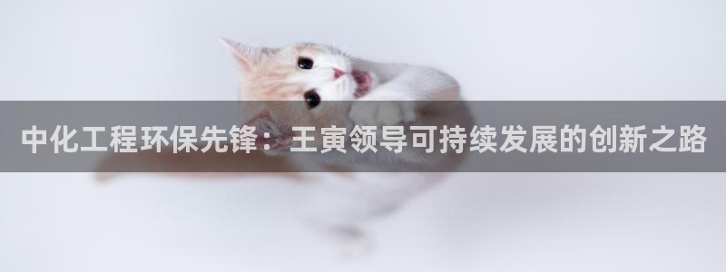 亿万下载第三季：中化工程环保先锋：王寅领导可持续发展的创新之路