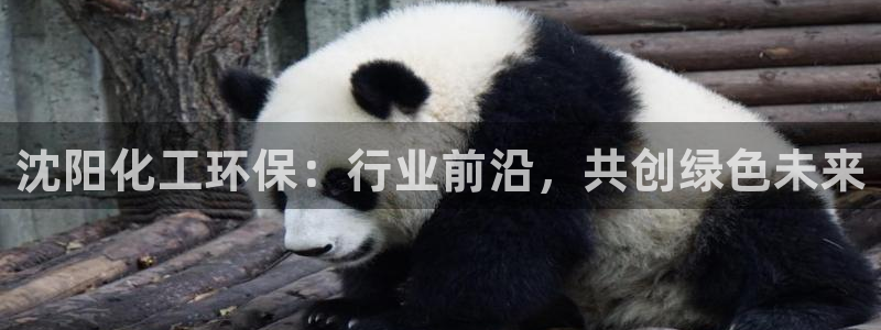 亿万讲什么：沈阳化工环保：行业前沿，共创绿色未来