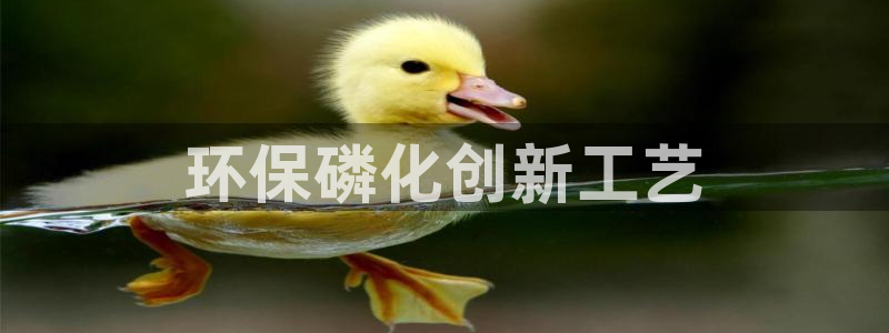 亿万先生手机客户端：环保磷化创新工艺