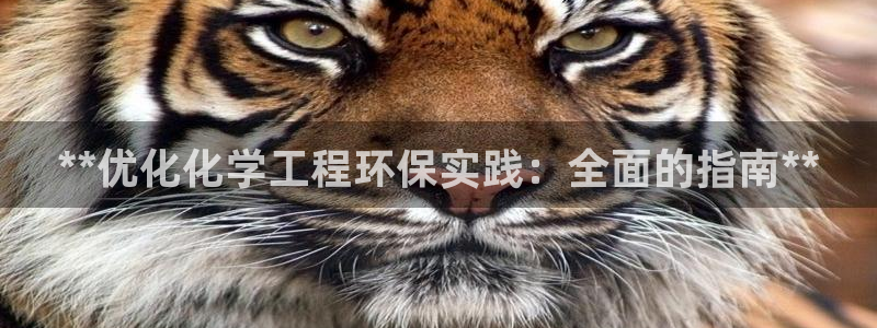 亿万先生官方网站下载：**优化化学工程环保实践：全面的指南**