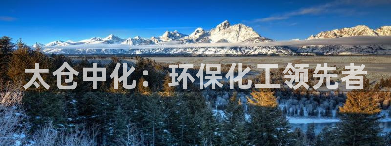 亿万先生客服联系方式查询：太仓中化：环保化工领先者