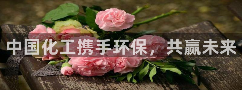 亿万手游官网网址：中国化工携手环保，共赢未来