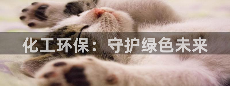 亿万先生客户端官网登录：化工环保：守护绿色未来