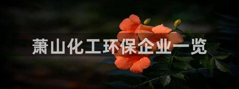 亿万先生官方网站：萧山化工环保企业一览