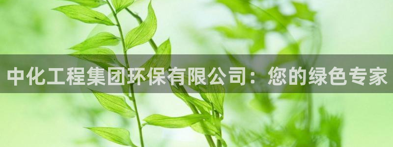亿万28下载地址：中化工程集团环保有限公司：您的绿色专家