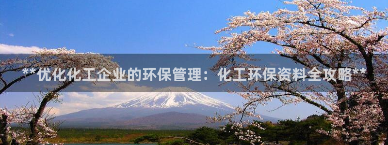 亿万先生官方客服：**优化化工企业的环保管理：化工环保资料全攻略**
