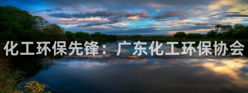 亿万先生手机版入：化工环保先锋：广东化工环保协会