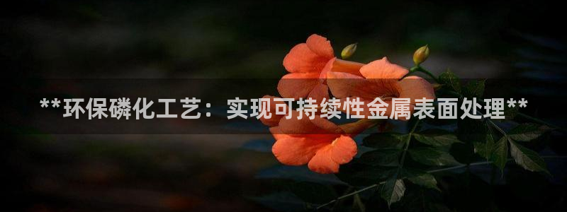 亿万网友在线实时为您解答问题：**环保磷化工艺：实现可持续性金属表面处理**