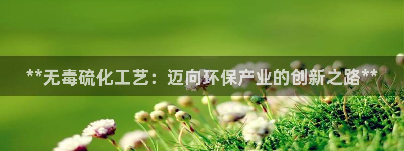亿万千百十：**无毒硫化工艺：迈向环保产业的创新之路**