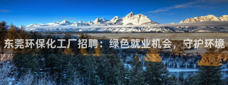 亿万剧情简介：东莞环保化工厂招聘：绿色就业机会，守护环境