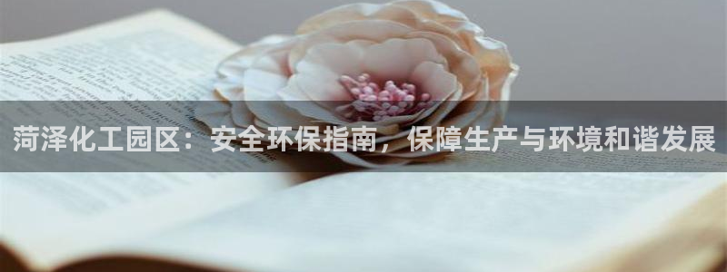 亿万网络科技有限公司：菏泽化工园区：安全环保指南，保障生产与环境和谐发展