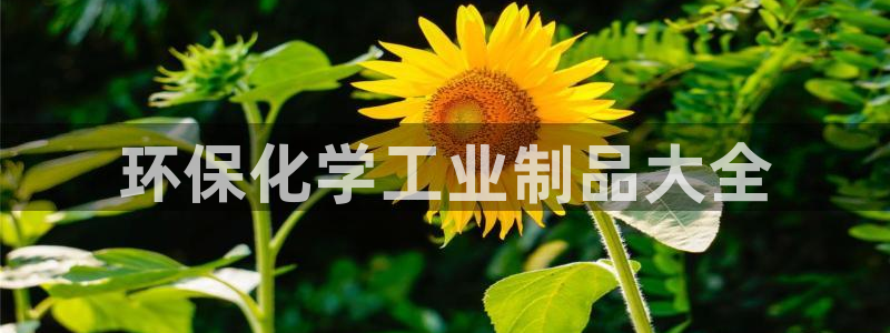 亿万官网字幕：环保化学工业制品大全