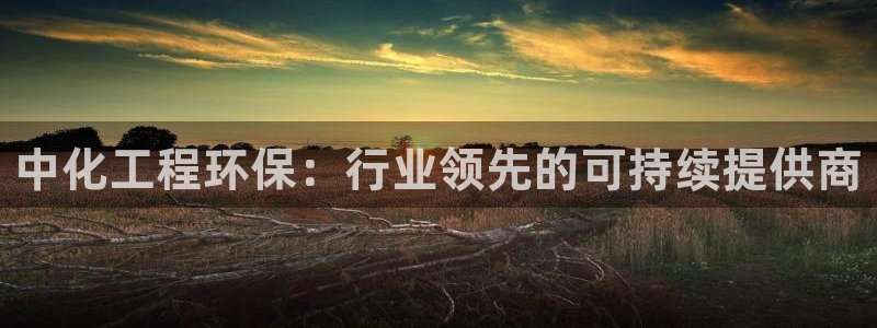亿万先生合并最新消息：中化工程环保：行业领先的可持续提供商
