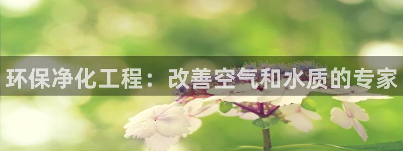 亿万国际平台是正规的吗安全吗：环保净化工程：改善空气和水质的专家