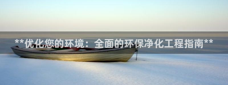 亿万剧集：**优化您的环境：全面的环保净化工程指南**