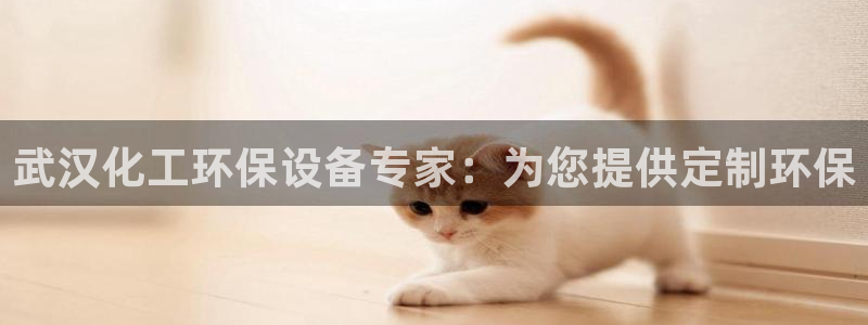 亿万首富手游：武汉化工环保设备专家：为您提供定制环保